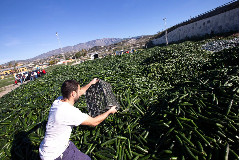 Confían en que la destrucción del producto tenga sus efectos y los precios suban porque ahora «les está costando el dinero» 
