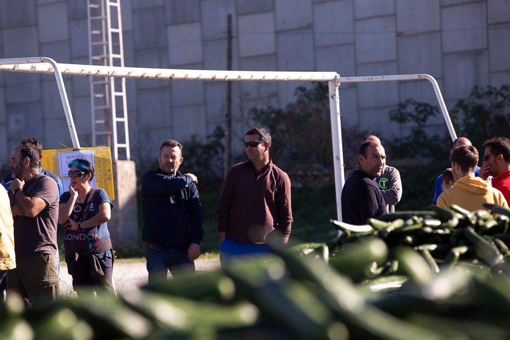 Confían en que la destrucción del producto tenga sus efectos y los precios suban porque ahora «les está costando el dinero» 