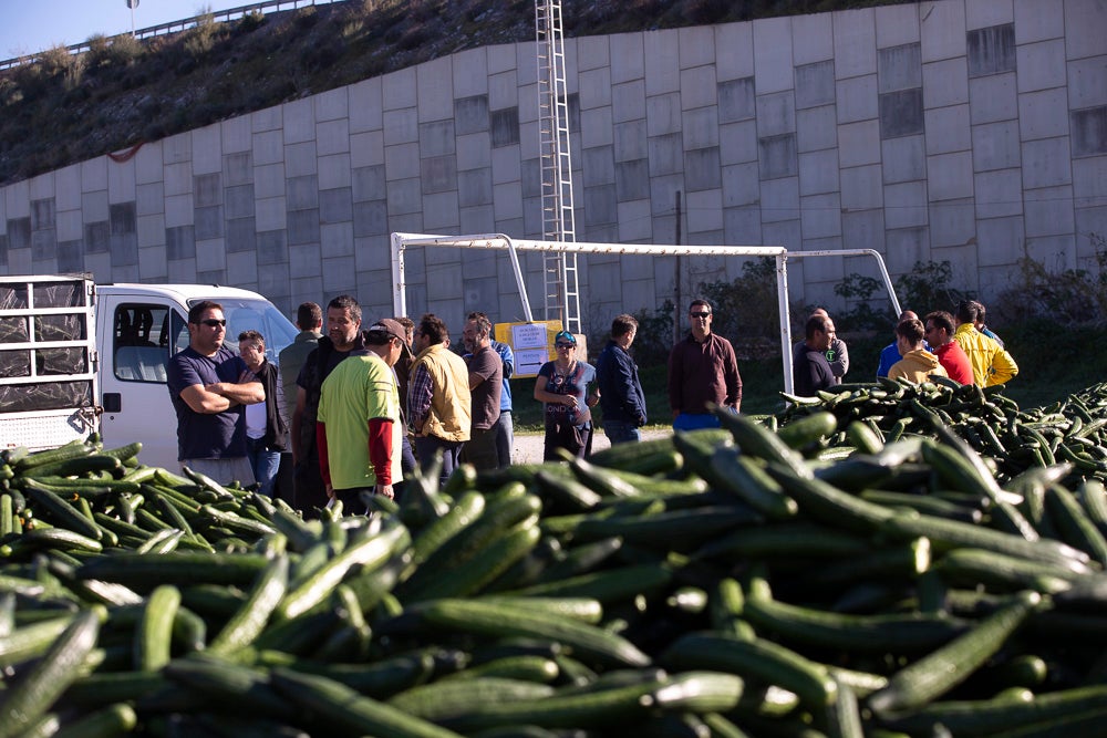 Confían en que la destrucción del producto tenga sus efectos y los precios suban porque ahora «les está costando el dinero» 