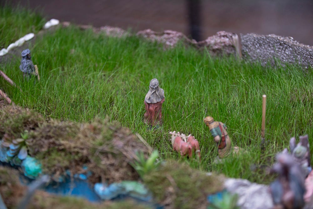 El Huerto, la Vera Cruz, los colegios Virgen del Mar, Arco Iris, Cardenal Belluga consiguen premio en el concurso