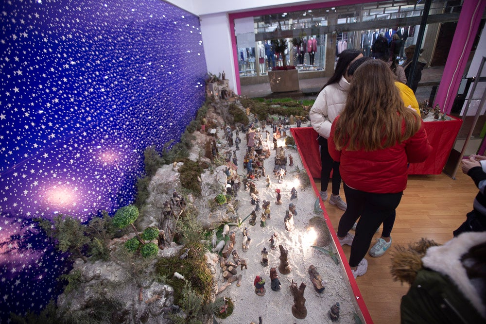El Huerto, la Vera Cruz, los colegios Virgen del Mar, Arco Iris, Cardenal Belluga consiguen premio en el concurso