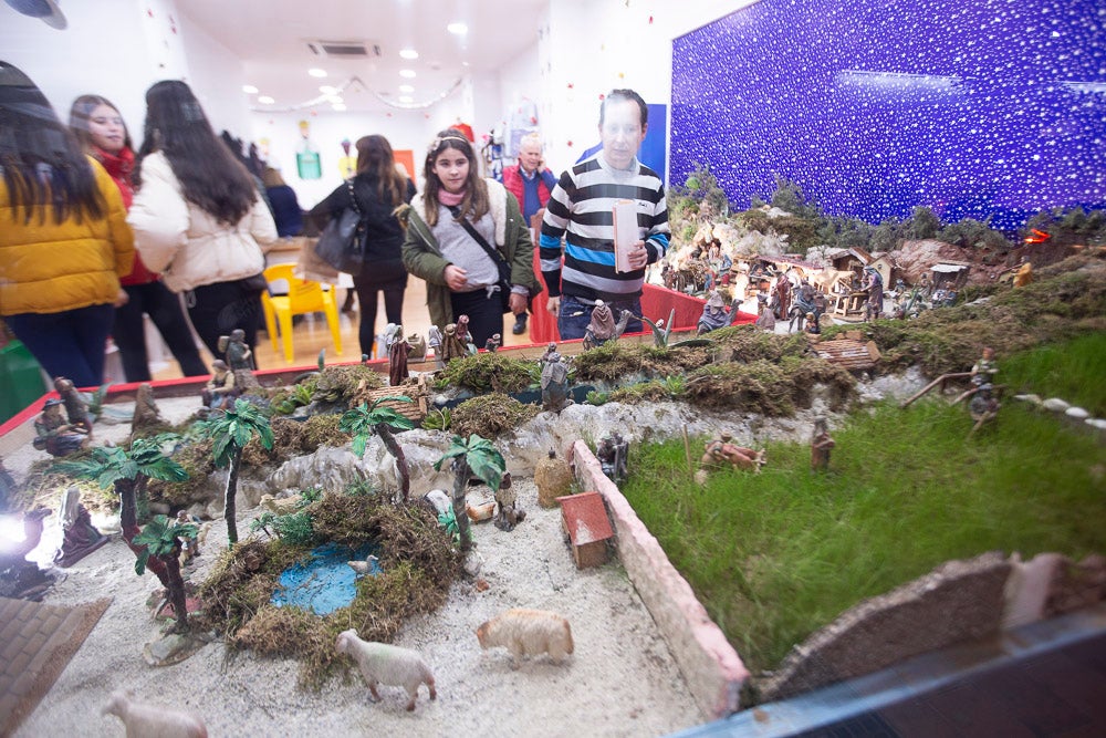El Huerto, la Vera Cruz, los colegios Virgen del Mar, Arco Iris, Cardenal Belluga consiguen premio en el concurso