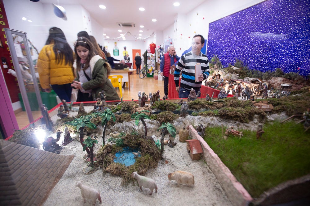 El Huerto, la Vera Cruz, los colegios Virgen del Mar, Arco Iris, Cardenal Belluga consiguen premio en el concurso