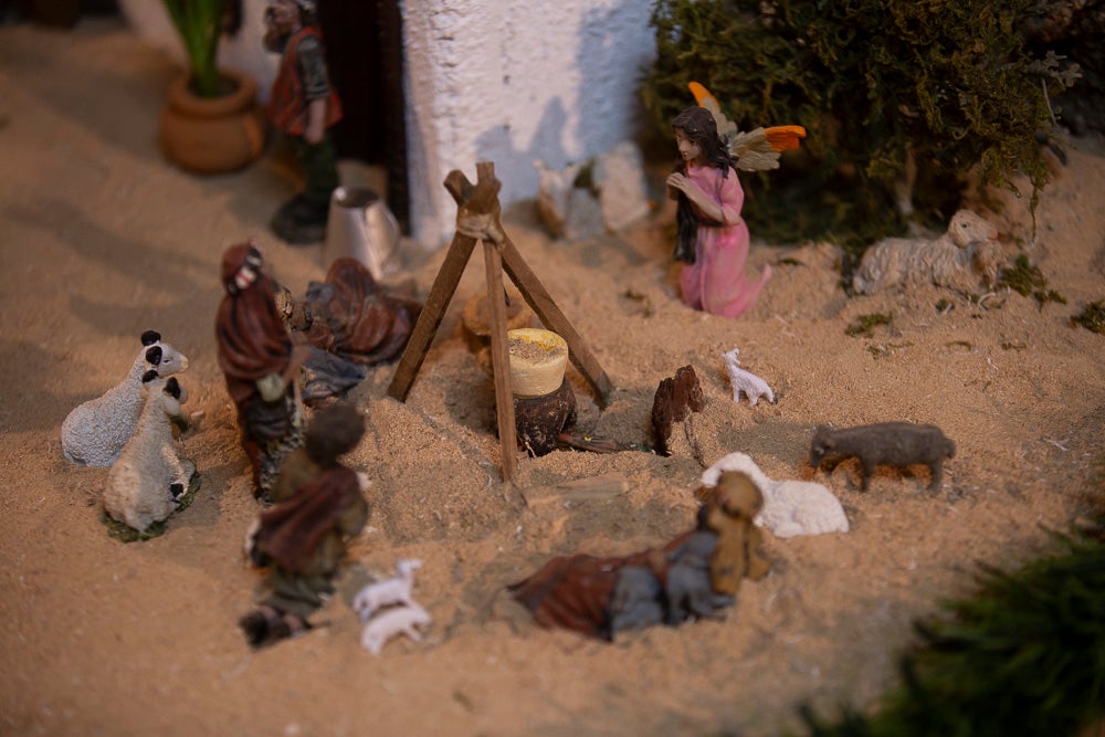 El Huerto, la Vera Cruz, los colegios Virgen del Mar, Arco Iris, Cardenal Belluga consiguen premio en el concurso