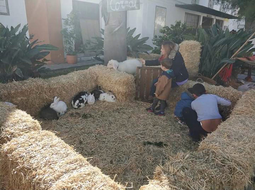 El Huerto, la Vera Cruz, los colegios Virgen del Mar, Arco Iris, Cardenal Belluga consiguen premio en el concurso