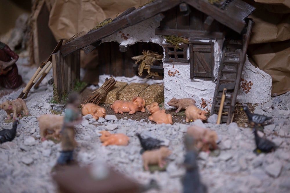 El Huerto, la Vera Cruz, los colegios Virgen del Mar, Arco Iris, Cardenal Belluga consiguen premio en el concurso