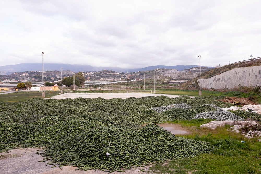Ahora empezarán a llevarse directamente a la planta de residuos