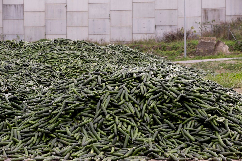 Ahora empezarán a llevarse directamente a la planta de residuos