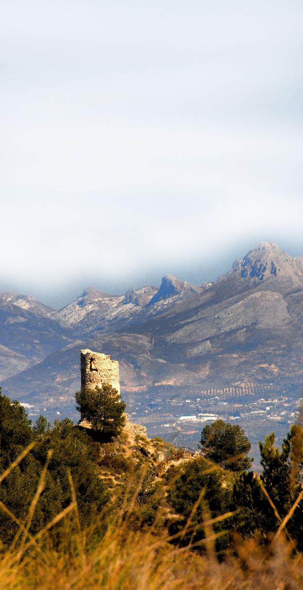 La torre de Elvira o torreón de Albolote, corona la loma de la Cartuja de Sierra Elvira, que comunica con los cerros de sierra Arana.