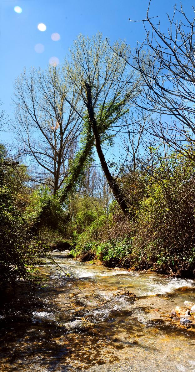 Las aguas del río Dúrcal se remansan bajo el puente de Lata, en la zona de los molinos.