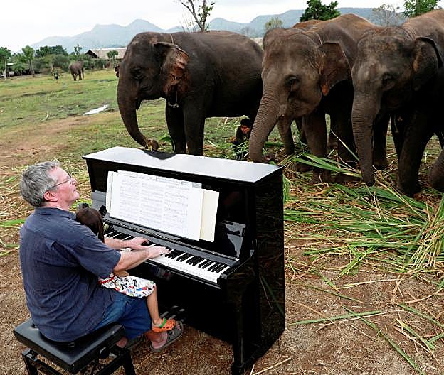 El llamativo concierto para elefantes