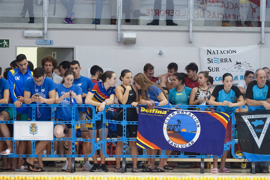 Casi 300 nadadores se dan cita en el II Trofeo Internacional Granada Ciudad Universitaria se celebra este fin de semana