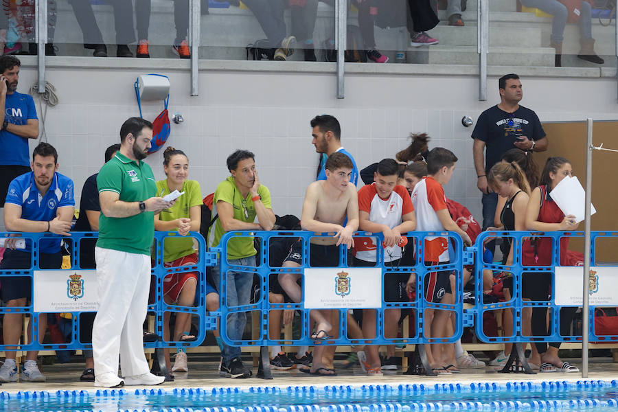 Casi 300 nadadores se dan cita en el II Trofeo Internacional Granada Ciudad Universitaria se celebra este fin de semana