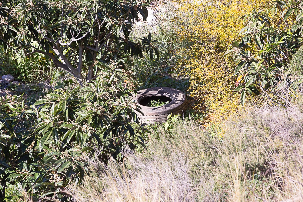 El año pasado voluntarios sacaron 800 ruedas de los acantilados de Castell, un caso flagrante. El Seprona advierte que realizará apostaderos para buscar a los autores
