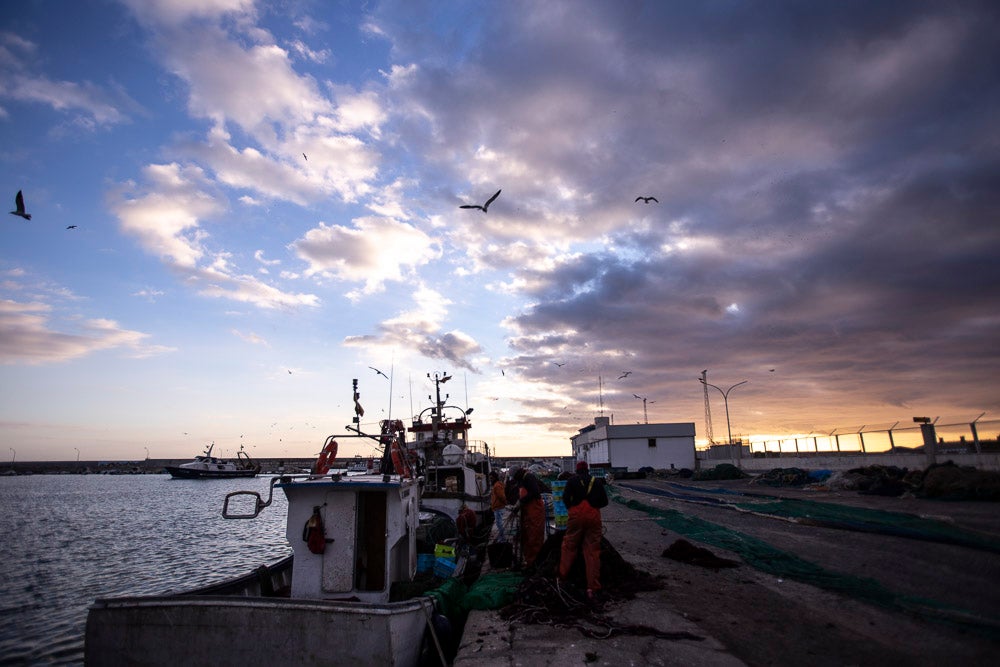 El pescado motrileño va a las pescaderías y a la hostelería, aunque los hosteleros no suelen ir a comprar directamente, sino que declinan esa tarea en los distribuidores