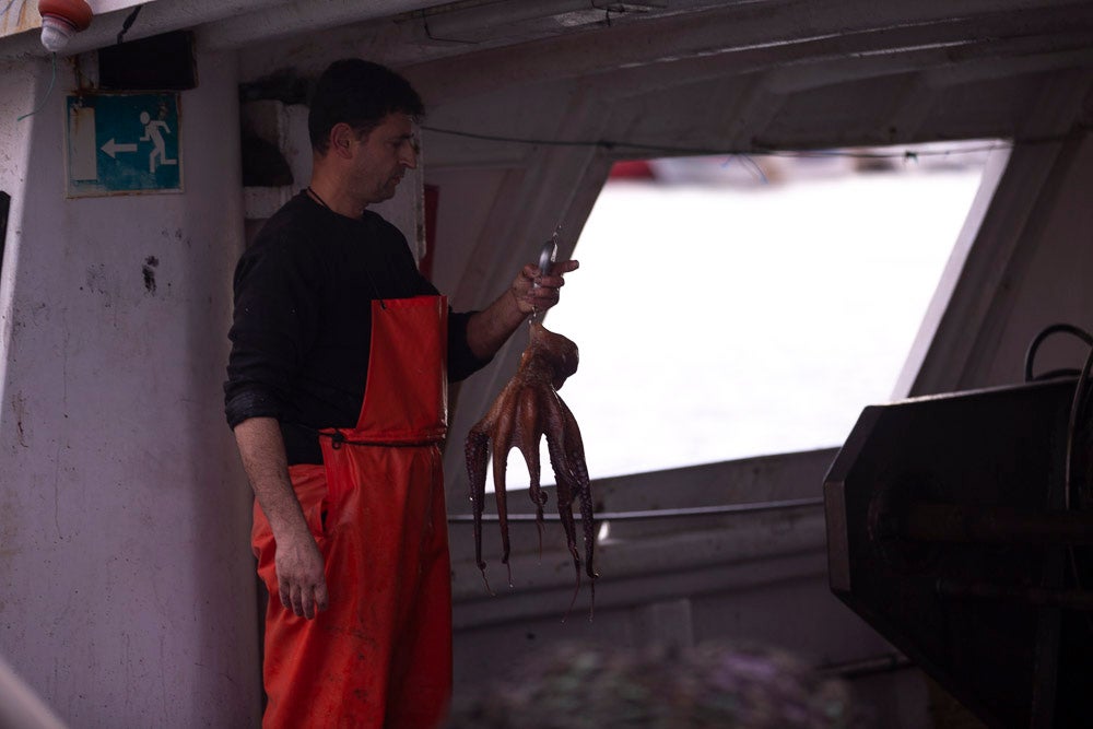 El pescado motrileño va a las pescaderías y a la hostelería, aunque los hosteleros no suelen ir a comprar directamente, sino que declinan esa tarea en los distribuidores