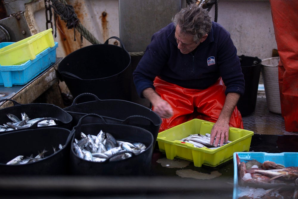 El pescado motrileño va a las pescaderías y a la hostelería, aunque los hosteleros no suelen ir a comprar directamente, sino que declinan esa tarea en los distribuidores