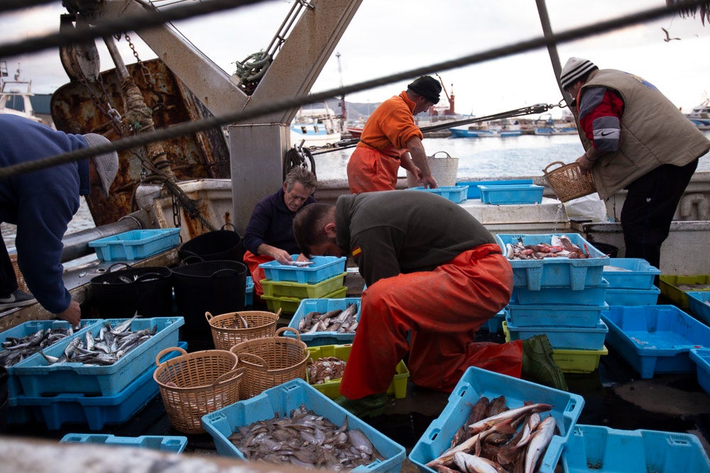 El pescado motrileño va a las pescaderías y a la hostelería, aunque los hosteleros no suelen ir a comprar directamente, sino que declinan esa tarea en los distribuidores