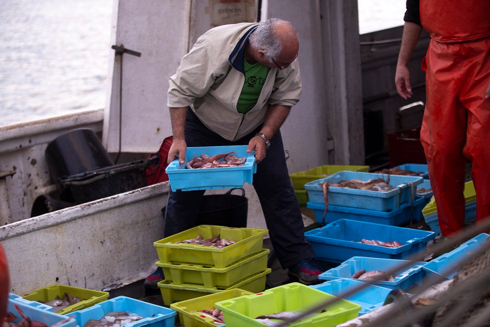 El pescado motrileño va a las pescaderías y a la hostelería, aunque los hosteleros no suelen ir a comprar directamente, sino que declinan esa tarea en los distribuidores