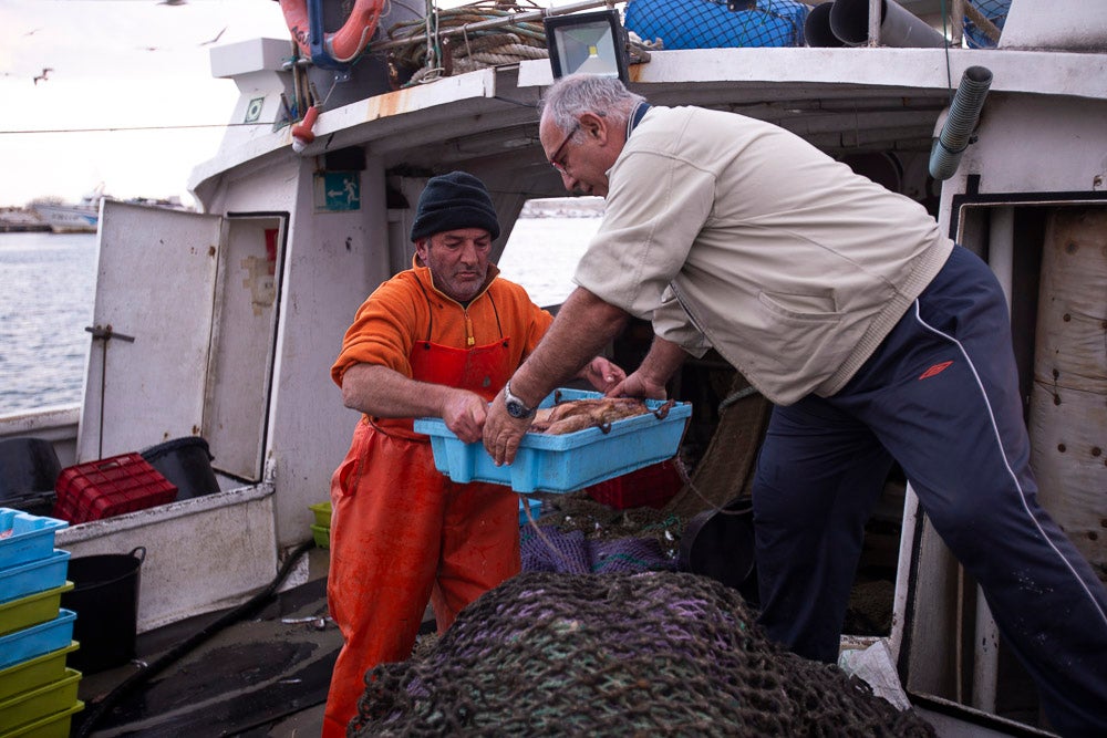 El pescado motrileño va a las pescaderías y a la hostelería, aunque los hosteleros no suelen ir a comprar directamente, sino que declinan esa tarea en los distribuidores