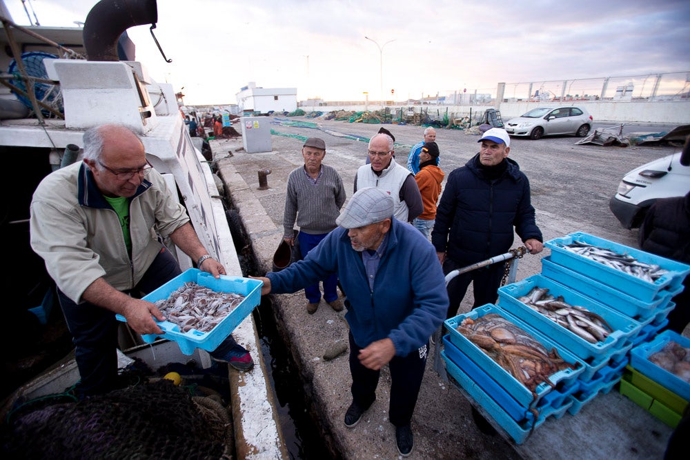 El pescado motrileño va a las pescaderías y a la hostelería, aunque los hosteleros no suelen ir a comprar directamente, sino que declinan esa tarea en los distribuidores
