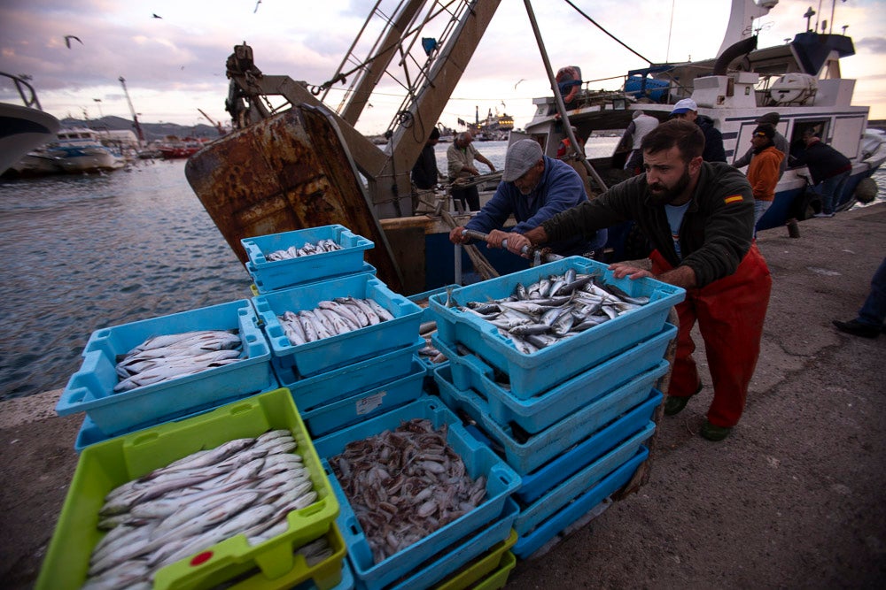 El pescado motrileño va a las pescaderías y a la hostelería, aunque los hosteleros no suelen ir a comprar directamente, sino que declinan esa tarea en los distribuidores