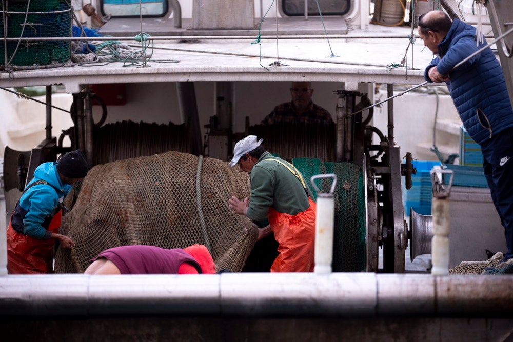 El pescado motrileño va a las pescaderías y a la hostelería, aunque los hosteleros no suelen ir a comprar directamente, sino que declinan esa tarea en los distribuidores