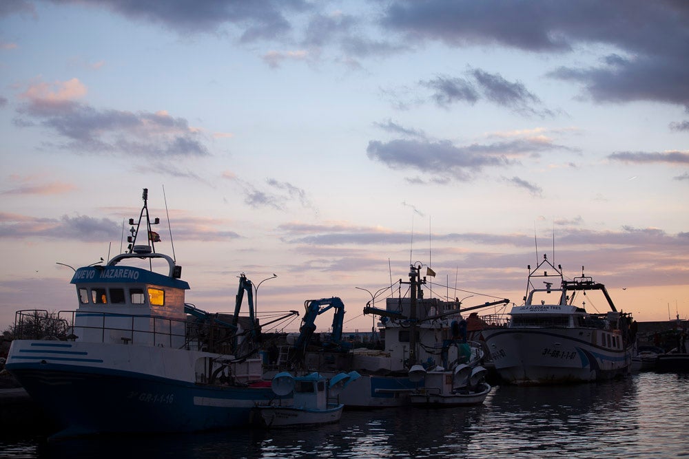 El pescado motrileño va a las pescaderías y a la hostelería, aunque los hosteleros no suelen ir a comprar directamente, sino que declinan esa tarea en los distribuidores