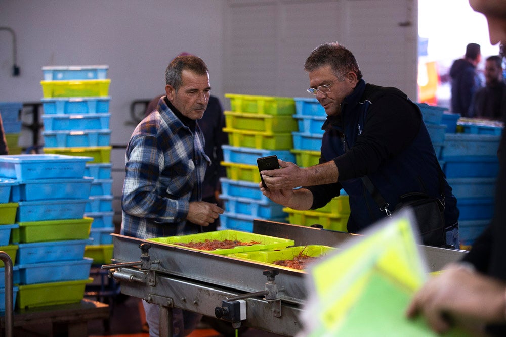 El pescado motrileño va a las pescaderías y a la hostelería, aunque los hosteleros no suelen ir a comprar directamente, sino que declinan esa tarea en los distribuidores