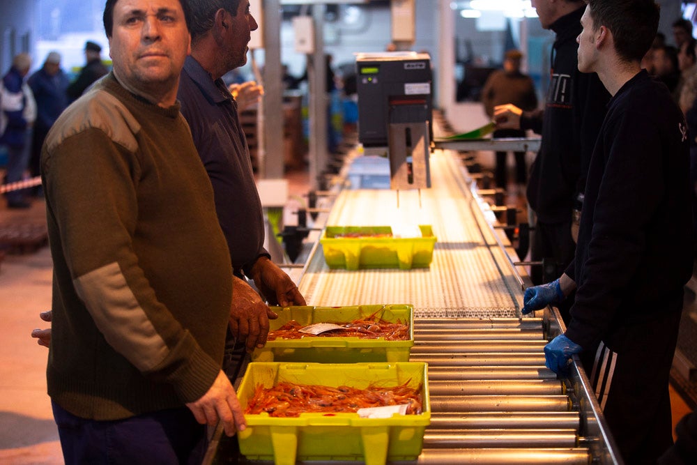 El pescado motrileño va a las pescaderías y a la hostelería, aunque los hosteleros no suelen ir a comprar directamente, sino que declinan esa tarea en los distribuidores