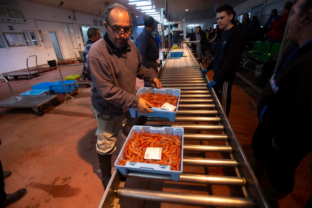 El pescado motrileño va a las pescaderías y a la hostelería, aunque los hosteleros no suelen ir a comprar directamente, sino que declinan esa tarea en los distribuidores