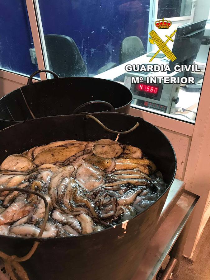 Intervienen unos 45 kg. de pulpo inmaduro en el Puerto de Almería