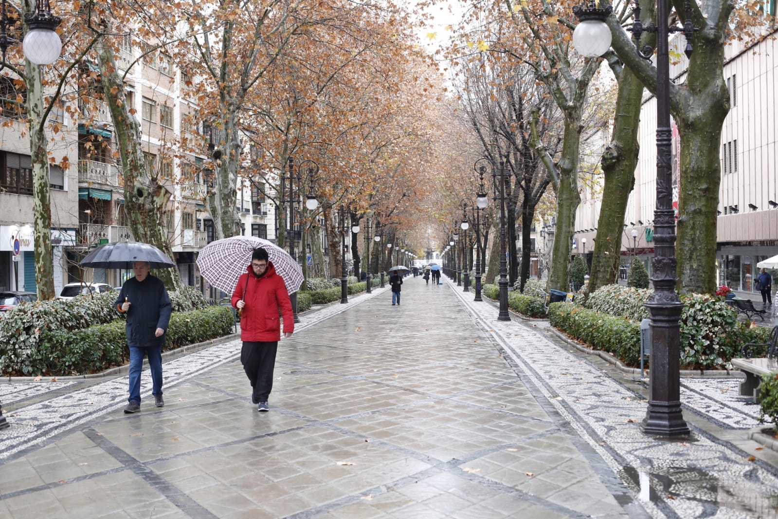 Regresan los paraguas a las calles de la capital en una imagen que no se vía desde el pasado 13 de diciembre