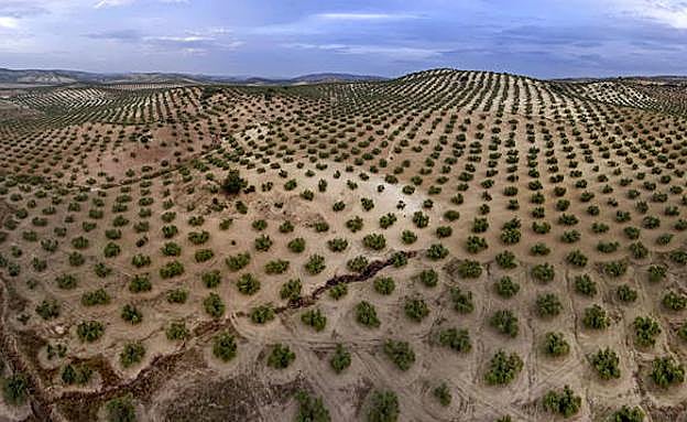 Detenido por robar maquinaría agrícola en una finca de Orcera en la que había estado trabajando