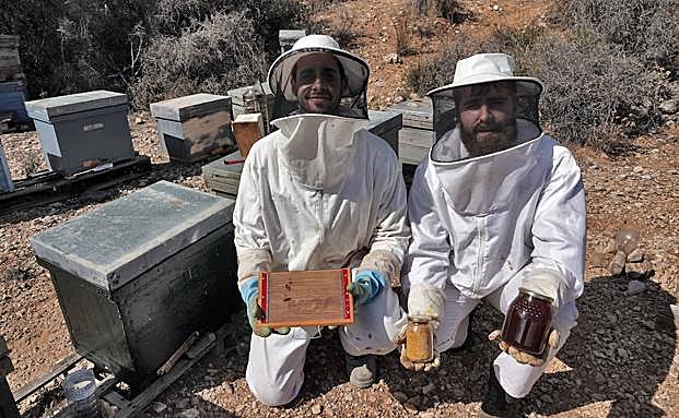 José Antonio y Andrés son los creadores de Apinature. 