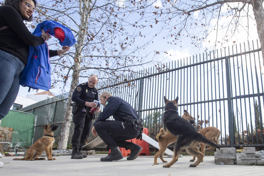 Los tres cachorros huérfanos adoptados por los agentes empiezan el adiestramiento con el ya famoso perro Stan Lee.