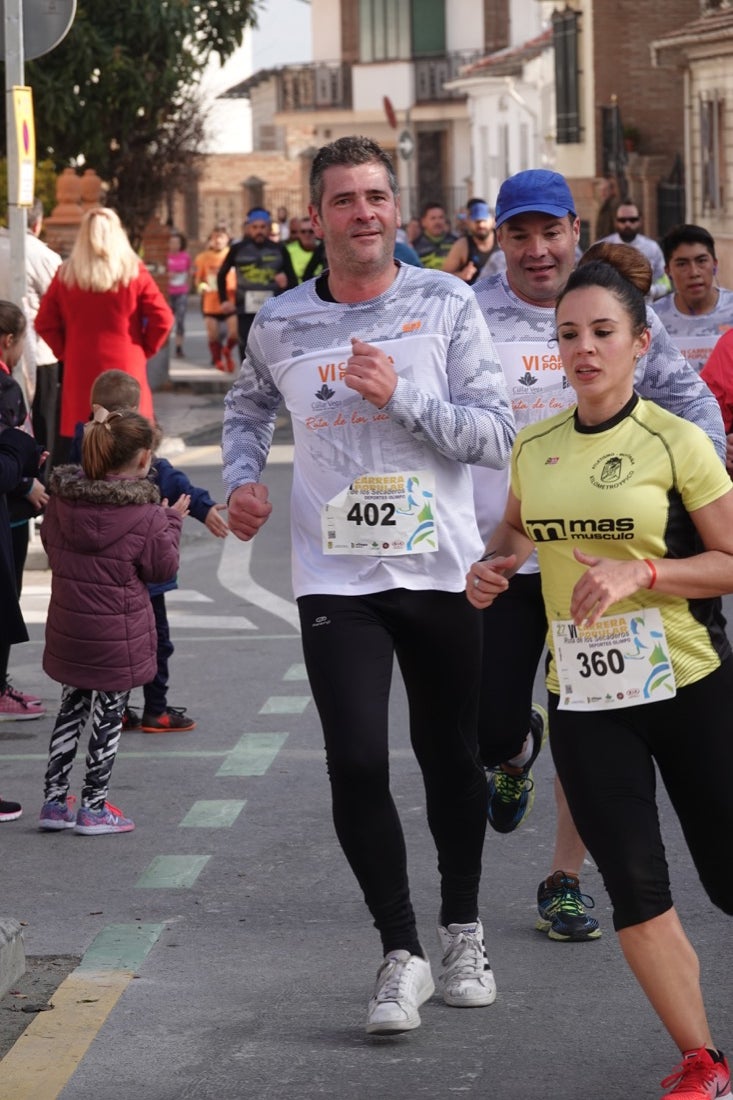 Un recorrido de 7 kilómetros en la categoría absoluta que transcurrió entre secaderos. Este año volvió a haber una categoría para senderistas de 5 kilómetros.