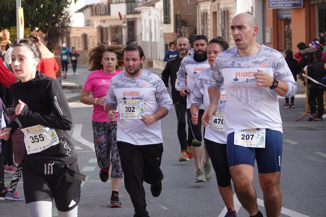 Un recorrido de 7 kilómetros en la categoría absoluta que transcurrió entre secaderos. Este año volvió a haber una categoría para senderistas de 5 kilómetros.