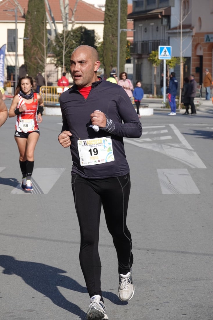 Un recorrido de 7 kilómetros en la categoría absoluta que transcurrió entre secaderos. Este año volvió a haber una categoría para senderistas de 5 kilómetros.