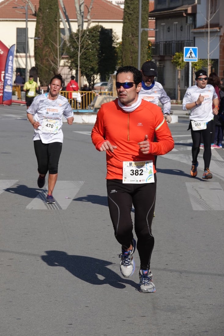 Un recorrido de 7 kilómetros en la categoría absoluta que transcurrió entre secaderos. Este año volvió a haber una categoría para senderistas de 5 kilómetros.