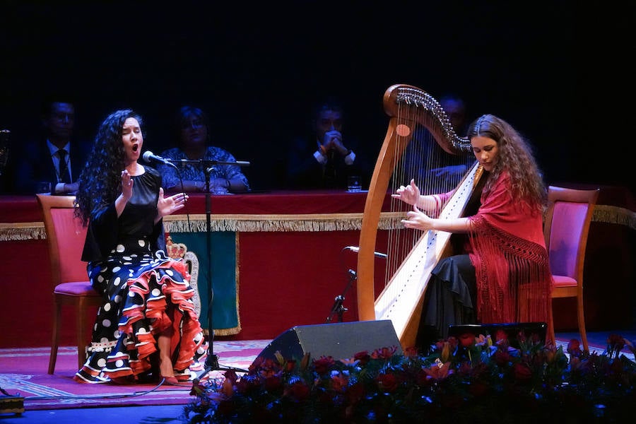 Fotos: El Ayuntamiento de Granada entrega sus honores y distinciones con la educación, la ciencia y la cultura como protagonistas