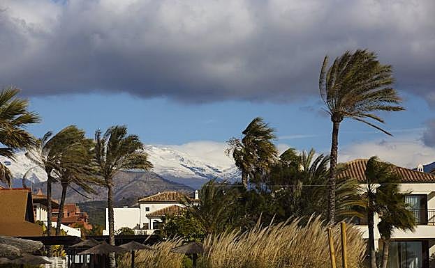 El viento soplará con fuerza siete en el litoral granadino.