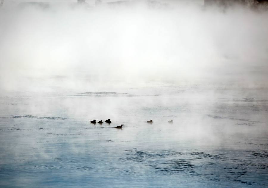 Las temperaturas extremas dejan ocho muertos en los estados de Illinois, Wisconsin, Iowa y Nebraska, y varios casos de congelamiento. En algunos casos han desplomado los termómetros hasta los 40 grados bajo cero, por lo que las autoridades han instado a la ciudadanía a extremar la precaución.