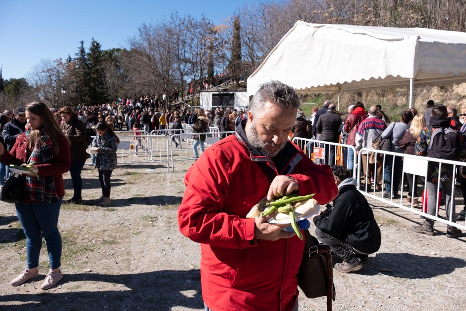 La celebración del patrón de Granada ha estado este año marcada por las alertas de nieve y frío de la Aemet