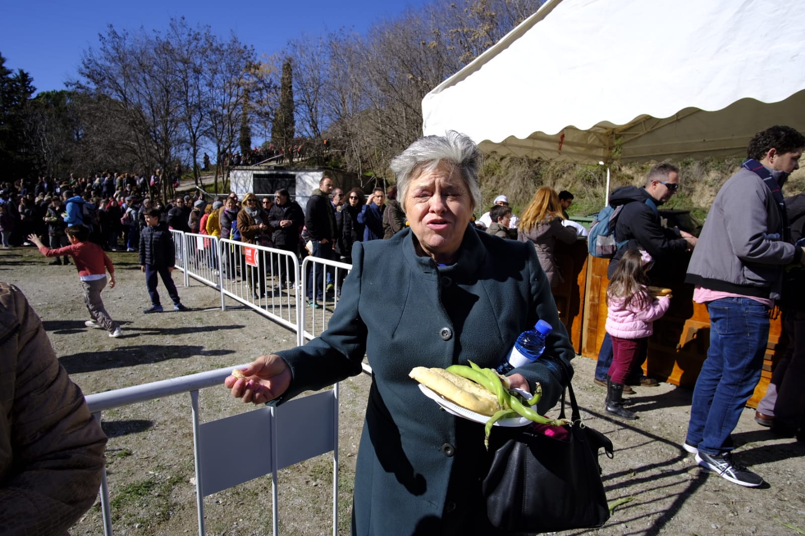 La celebración del patrón de Granada ha estado este año marcada por las alertas de nieve y frío de la Aemet