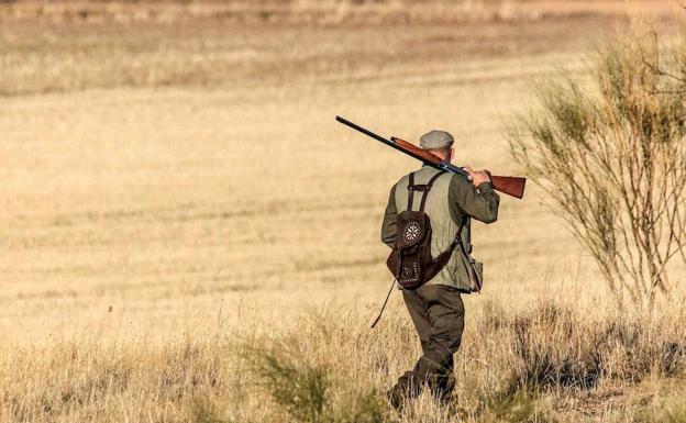 El Gobierno quiere equiparar las armas de juguete a los rifles de caza mayor