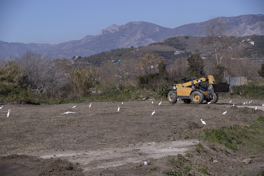 La maquinaria trabajaba hoy en el terreno