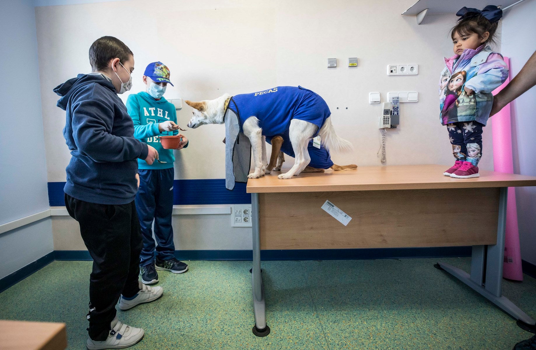 Parcitipan en sesiones de terapia individualizada de 45 minutos cada martes con niños de las unidades de Oncología y Cirugía Infantil del Materno-Infantil del Virgen de las Nieves