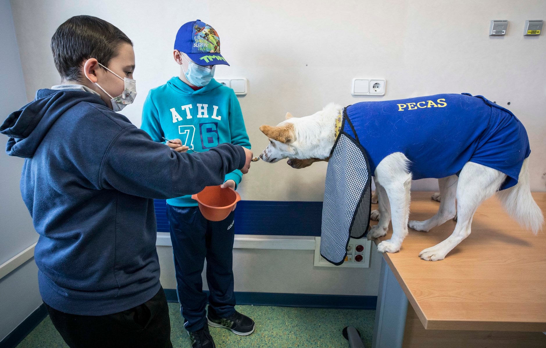 Parcitipan en sesiones de terapia individualizada de 45 minutos cada martes con niños de las unidades de Oncología y Cirugía Infantil del Materno-Infantil del Virgen de las Nieves