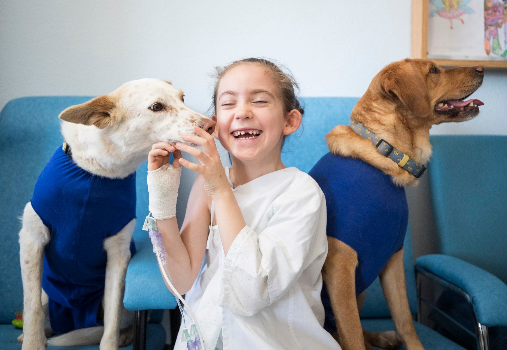 Parcitipan en sesiones de terapia individualizada de 45 minutos cada martes con niños de las unidades de Oncología y Cirugía Infantil del Materno-Infantil del Virgen de las Nieves